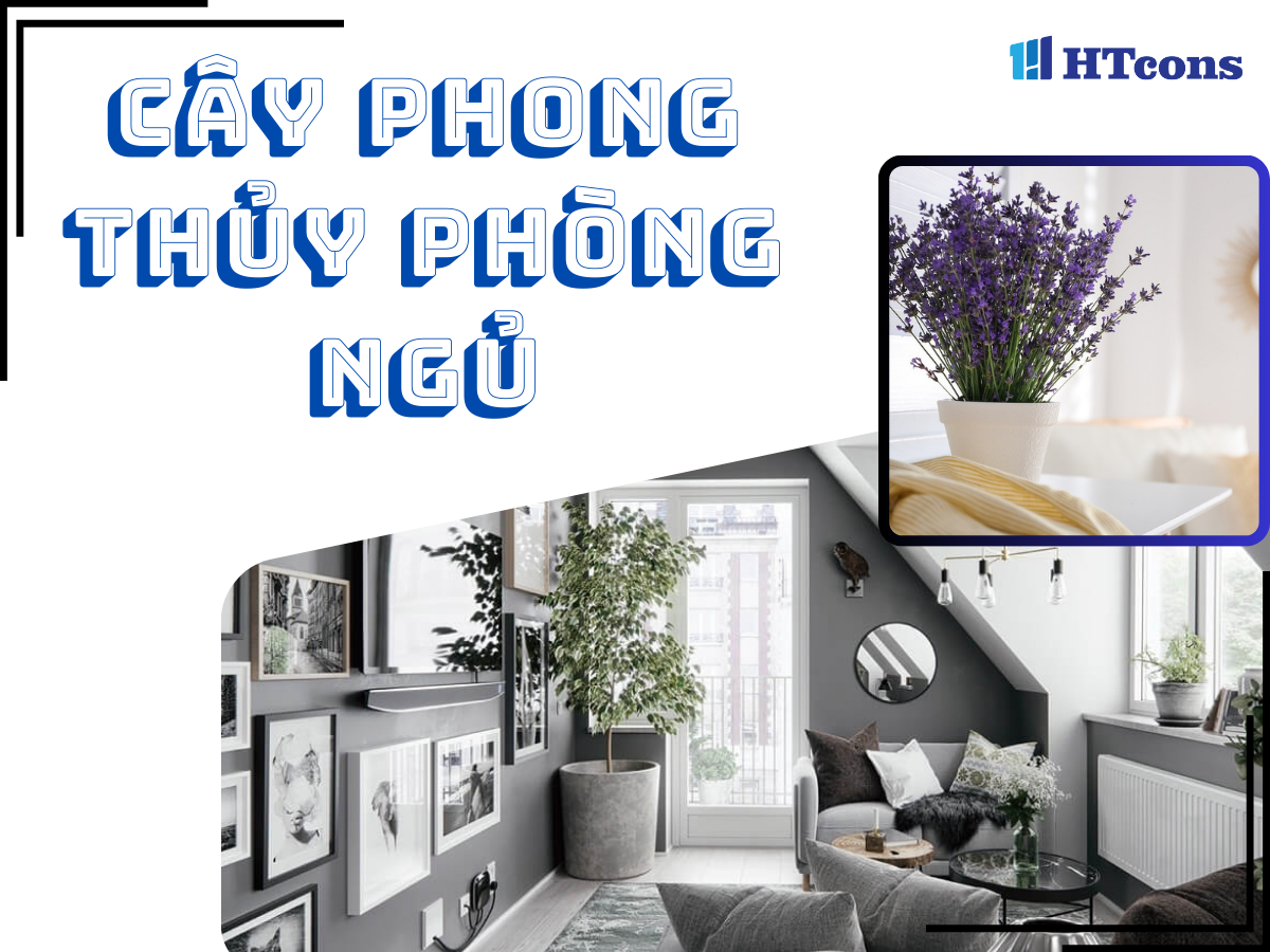 Tổng hợp 9 loại cây phong thủy phòng ngủ giúp thư giãn, ngủ ngon, tăng tài lộc