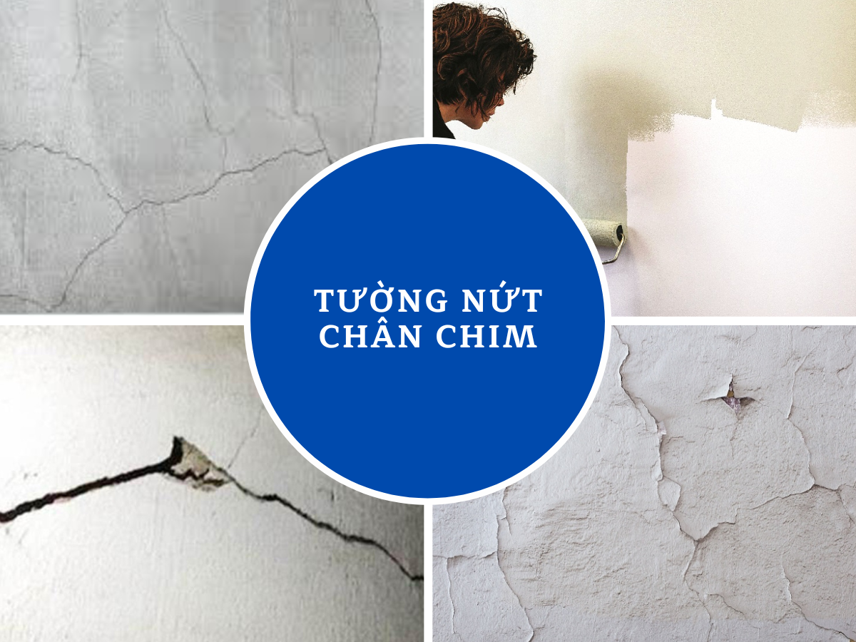 Tường nứt chân chim là gì? Nguyên nhân và giải pháp