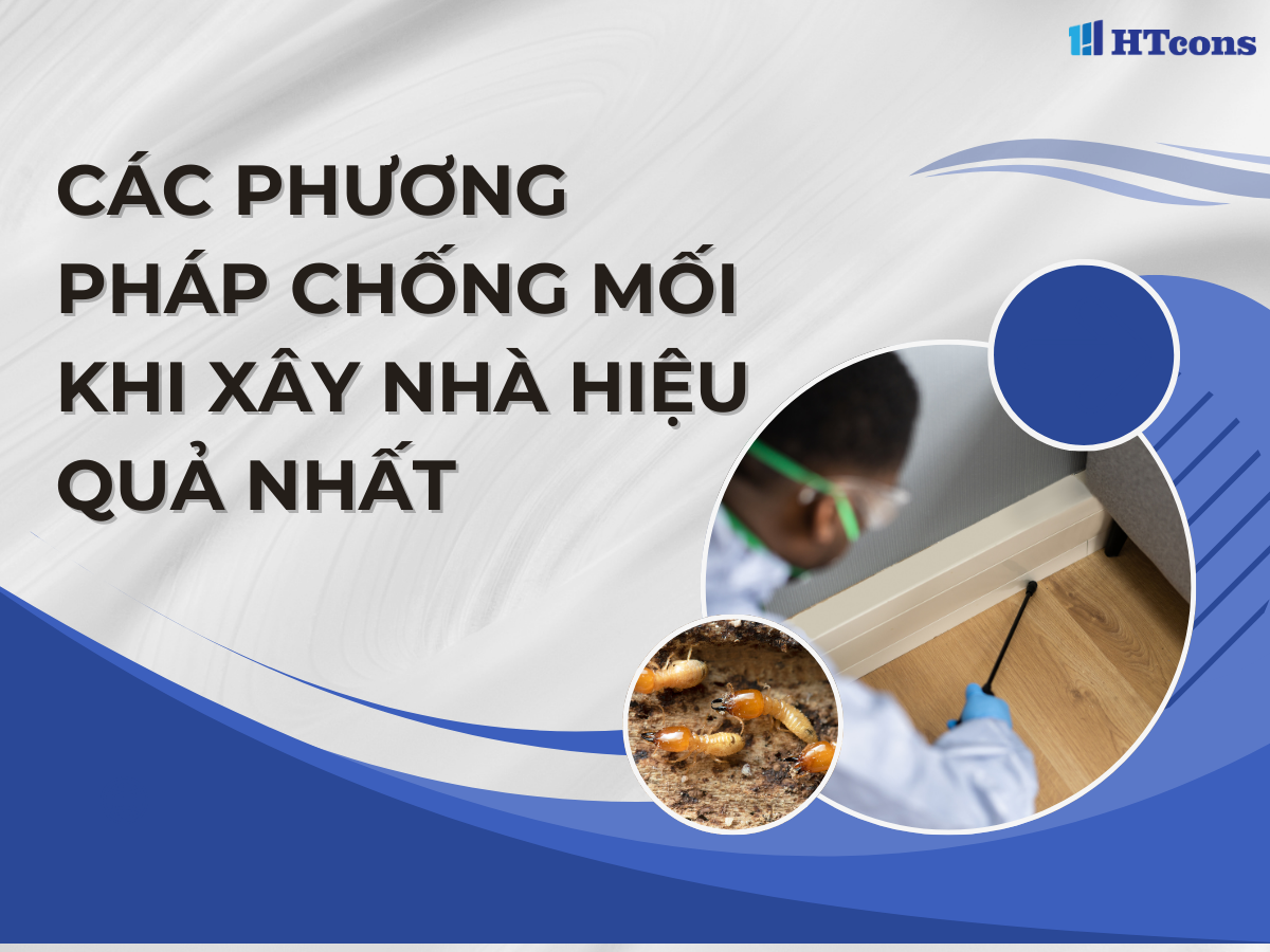 Các phương pháp chống mối khi xây nhà hiệu quả nhất