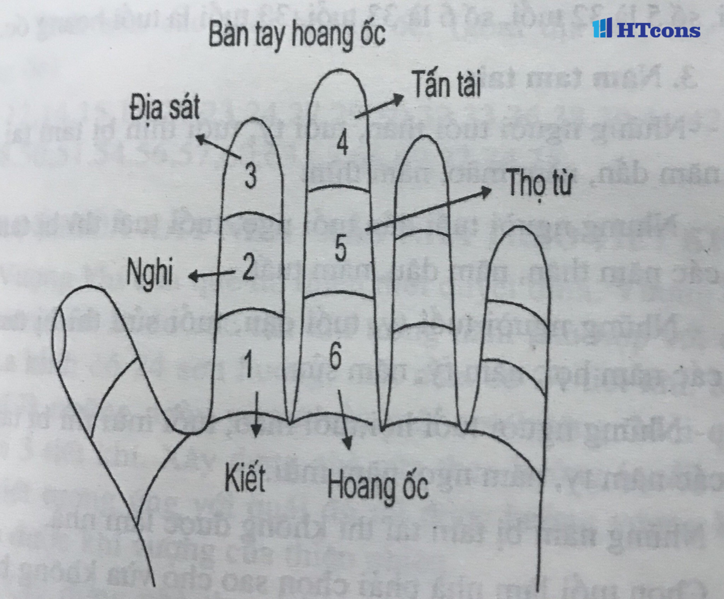 Quy tắc tính hạn Hoang Ốc trên bàn tay