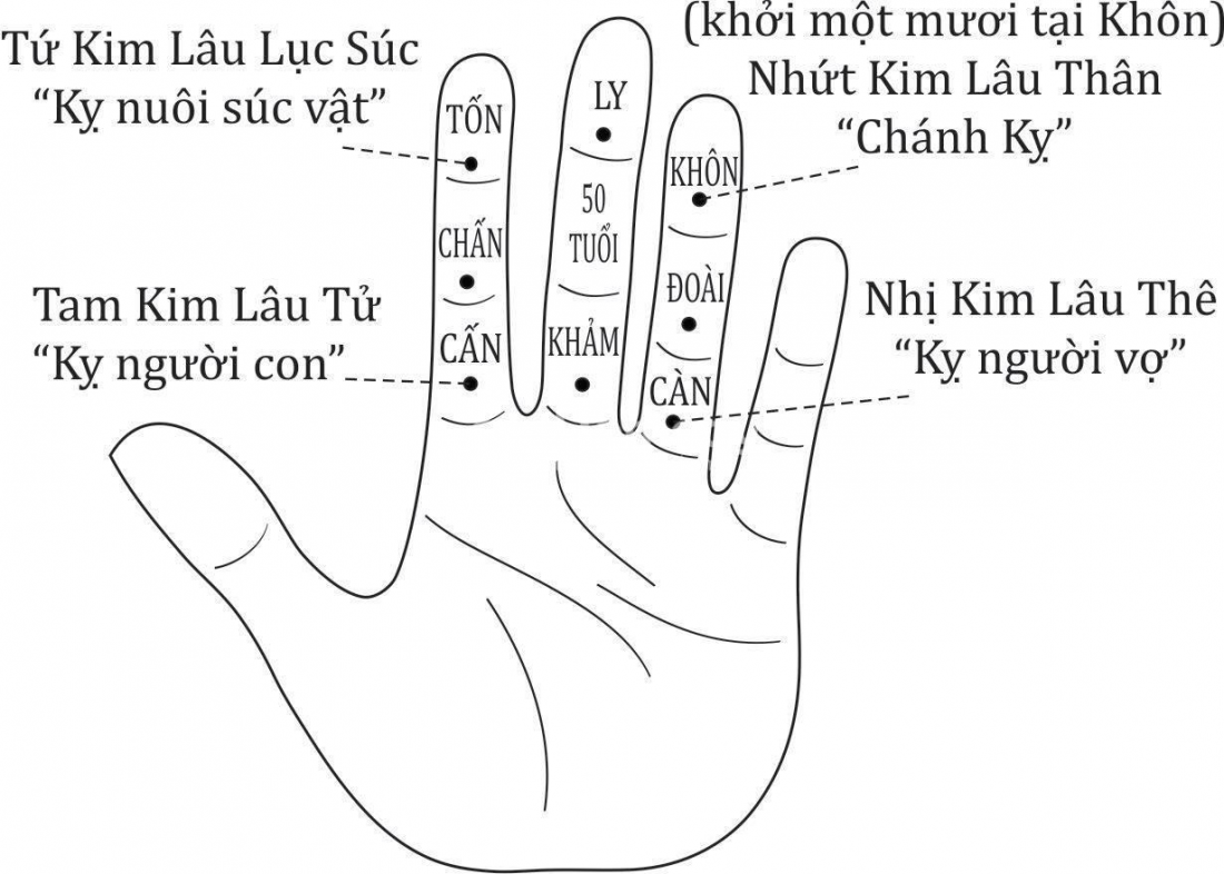 Cách tính hạn kim lâu
