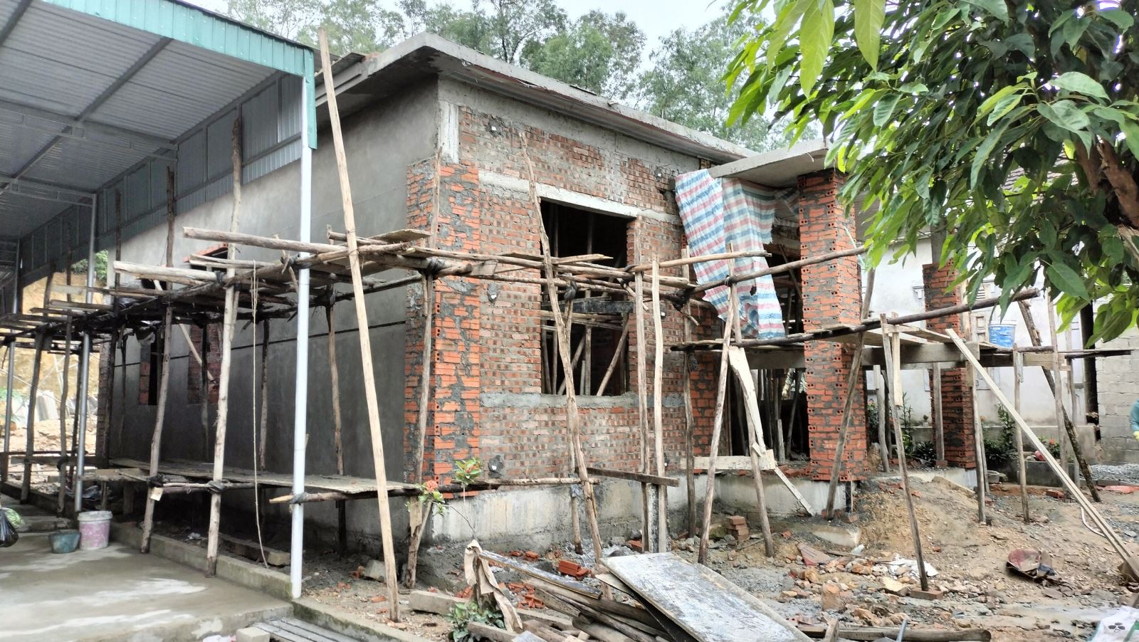 tu ha tinh 1